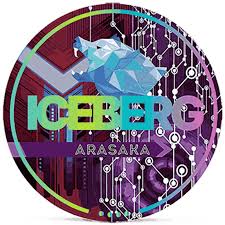 Iceberg Arasaka